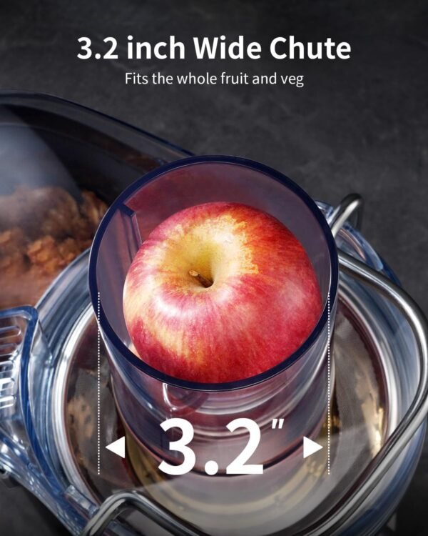 71HOOy6r89L._AC_SL1500_ GDOR Juicer JE2106A Review Powerful Centrifugal Juicer with 1200W Motor and Large Feed Chute