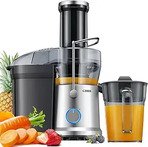 GDOR Juicer JE2106A Review Powerful Centrifugal Juicer with 1200W Motor and Large Feed Chute